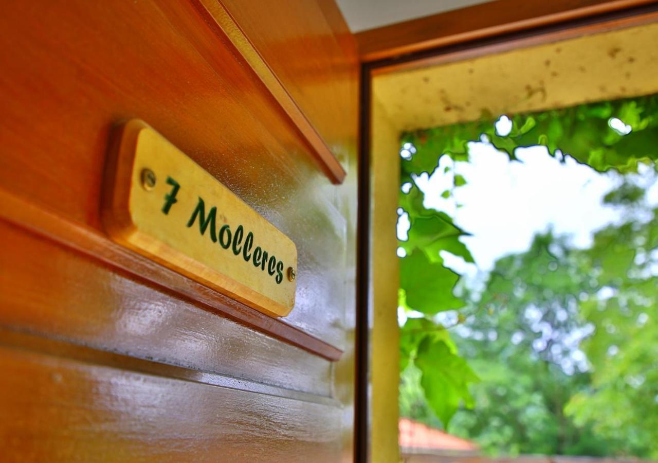 Beau Vallon - Gite Et Chambres D'Hotes Pyrenees-Mediterranee - Pays Catalan Sahorre Zewnętrze zdjęcie